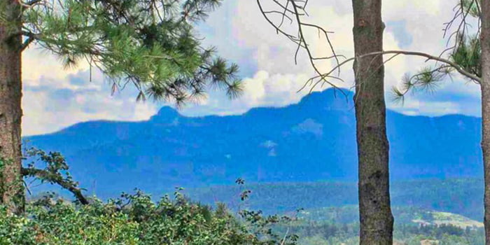 View of San Juan Mountains from Mesa Drive Cottage View of San Juan Mountains from vacation rental property
